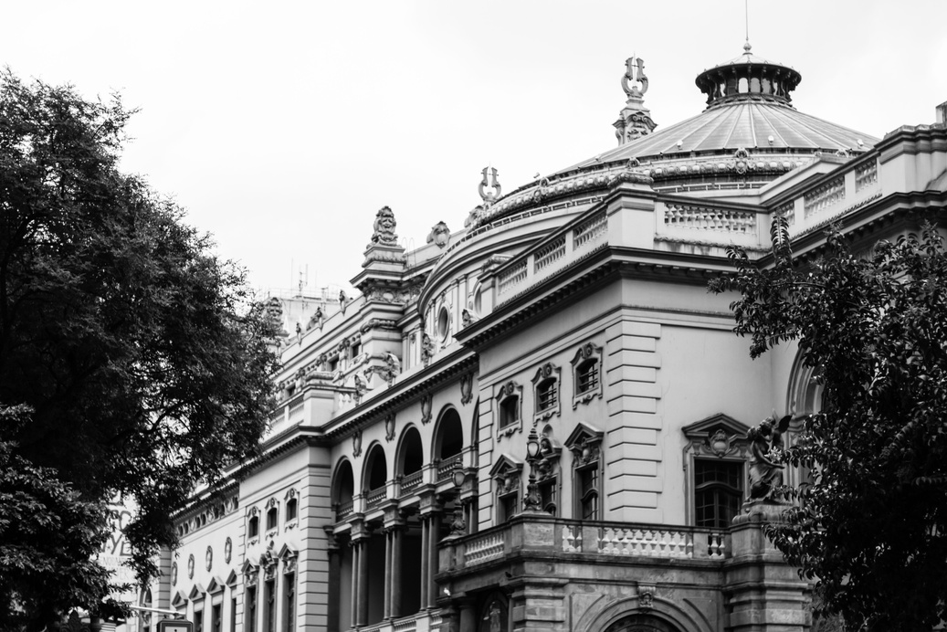 Grayscale Photo of a Building Near Tree