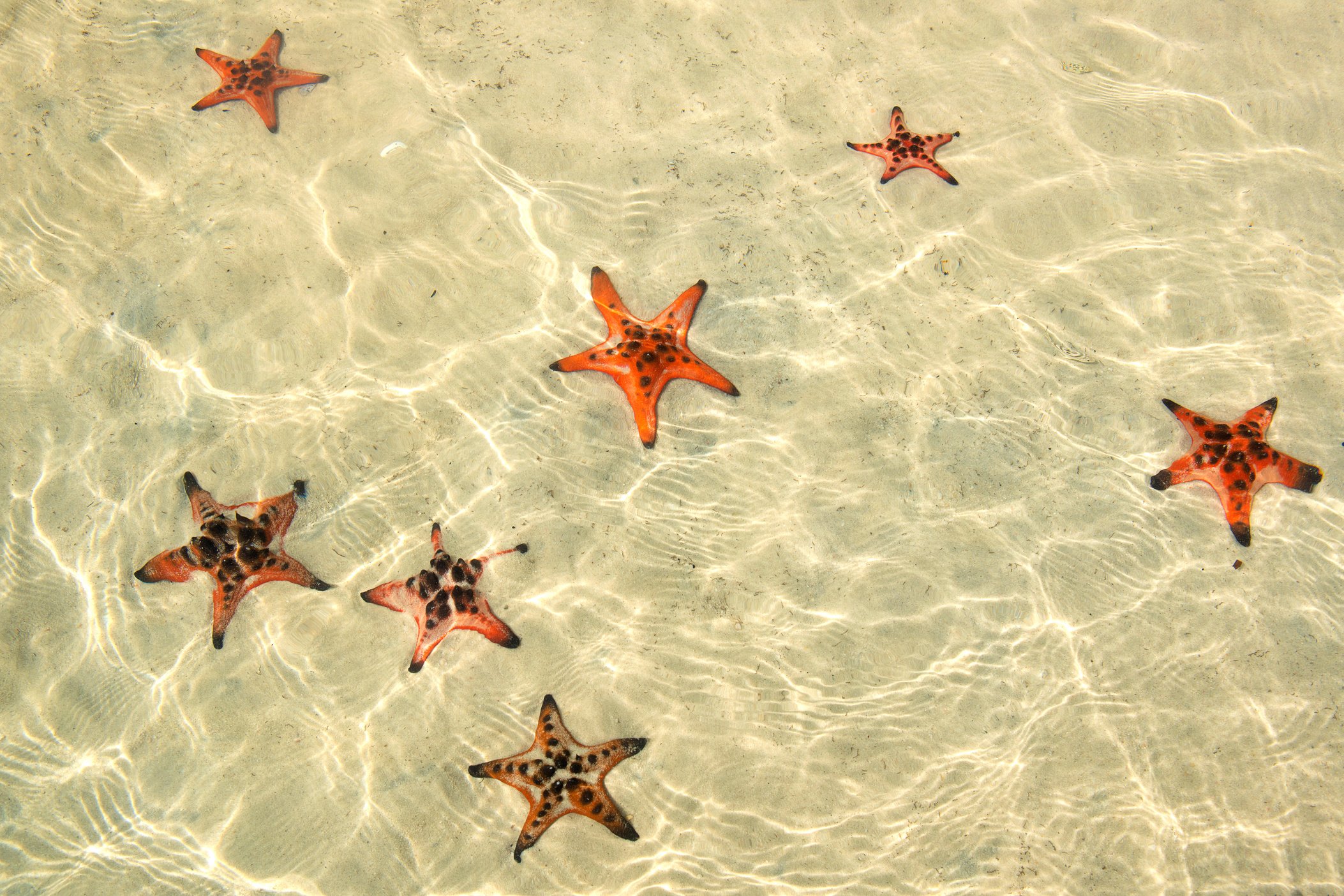 Phu Quoc Starfish Beach, South-Vietnam