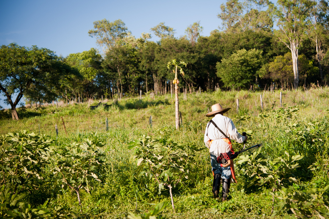 Rural worker