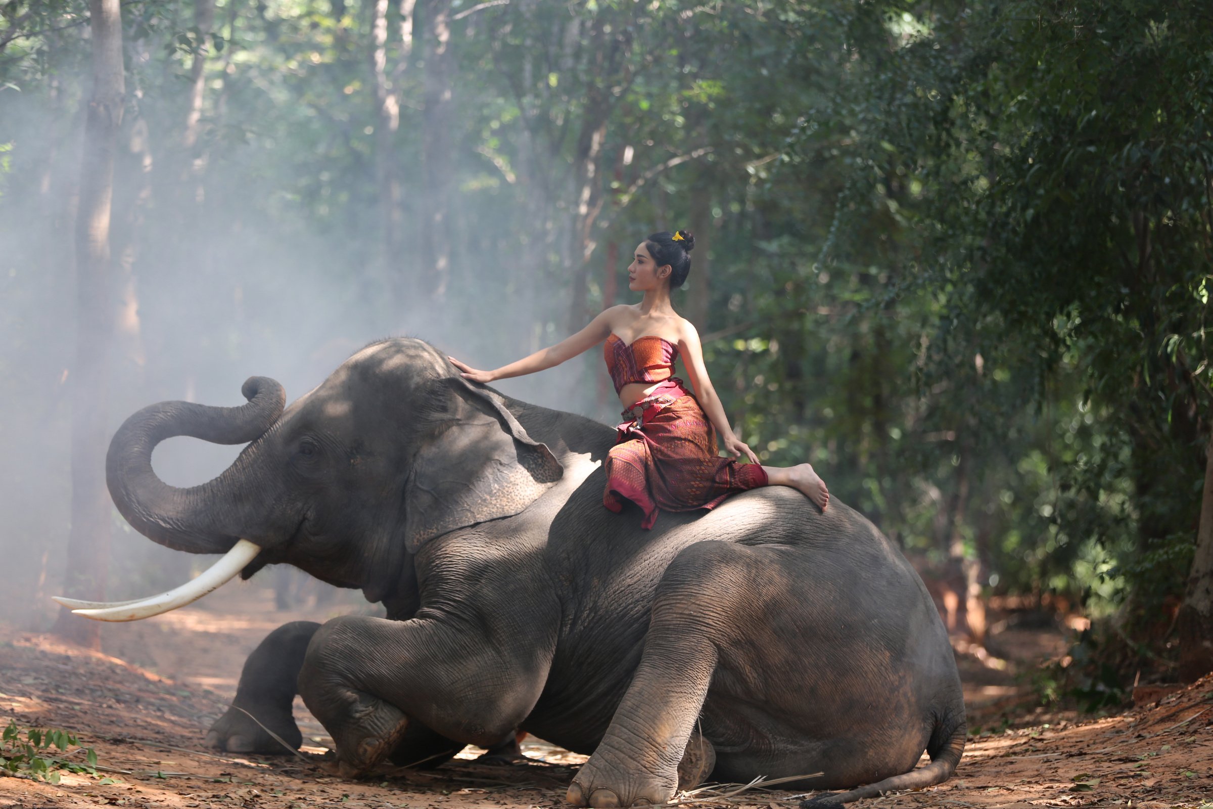 Woman Riding an Elephant Outdoors